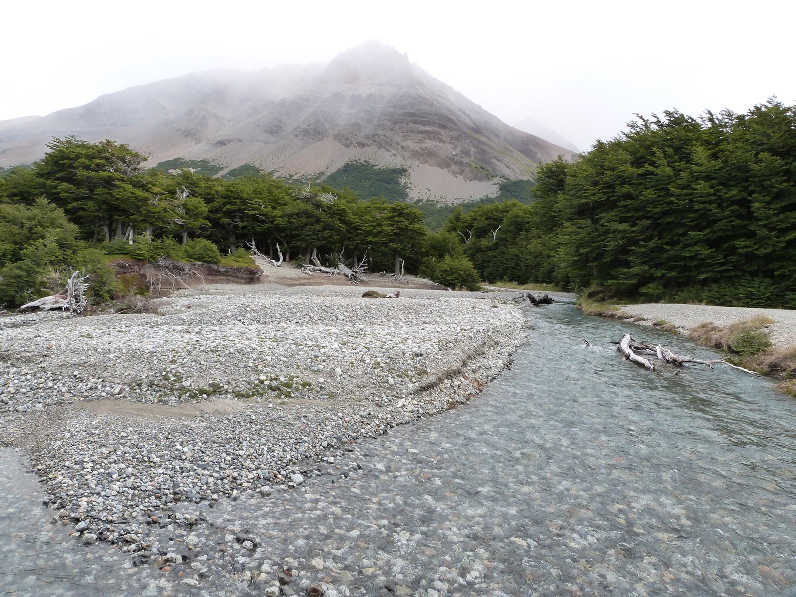 Río de deshielo entre pedregales y bosque, con la montaña envuelta en niebla al fondo
